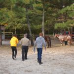 particpants-go-to-get-horses-at-4steps