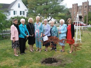 Daughters Of The American Revolution Plant Japanese Red Maple On Costen House Museum Grounds