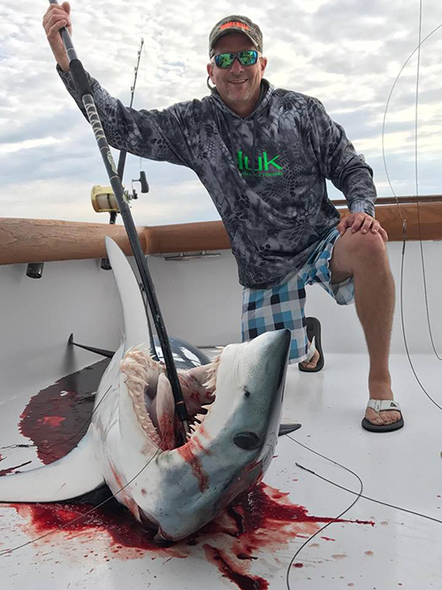 Sharks - Maryland Fishing