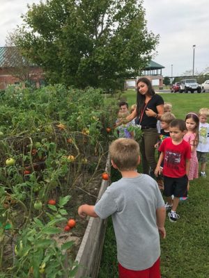 School Incorporates Veggie Garden Into Curriculum