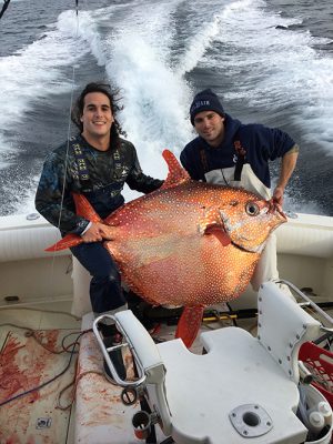 Primary Search Catches 2nd Rare Opah
