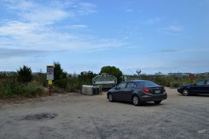 Stinky Beach Parking Changes Approved By Officials