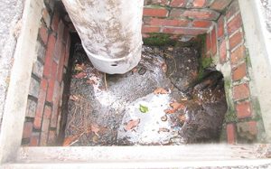 After Eye-Opening Stage Of Storm Drain Cleaning, Much More To Be Done