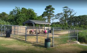 Creative Solution Could Expand Ocean City’s Dog Park