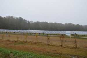 Elder Shares Concerns About Solar On Local Ag Property
