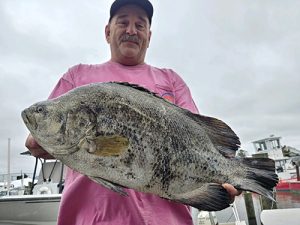 State Record Set For Tripletail