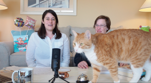 Pip The Beach Cat Launches Online Morning Show