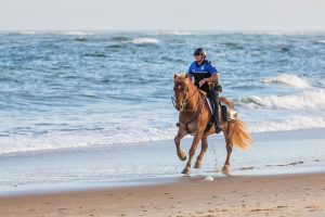 OCPD Mourns Mounted Officer’s Unexpected Passing