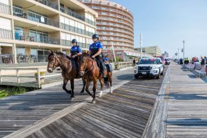 Police Horses Harassed During Fight; Mount Tucker Punched Multiple Times