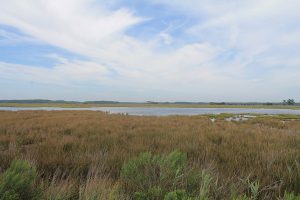 Partnership Results In Major Conservation Easement