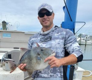 New State Record Triggerfish Caught