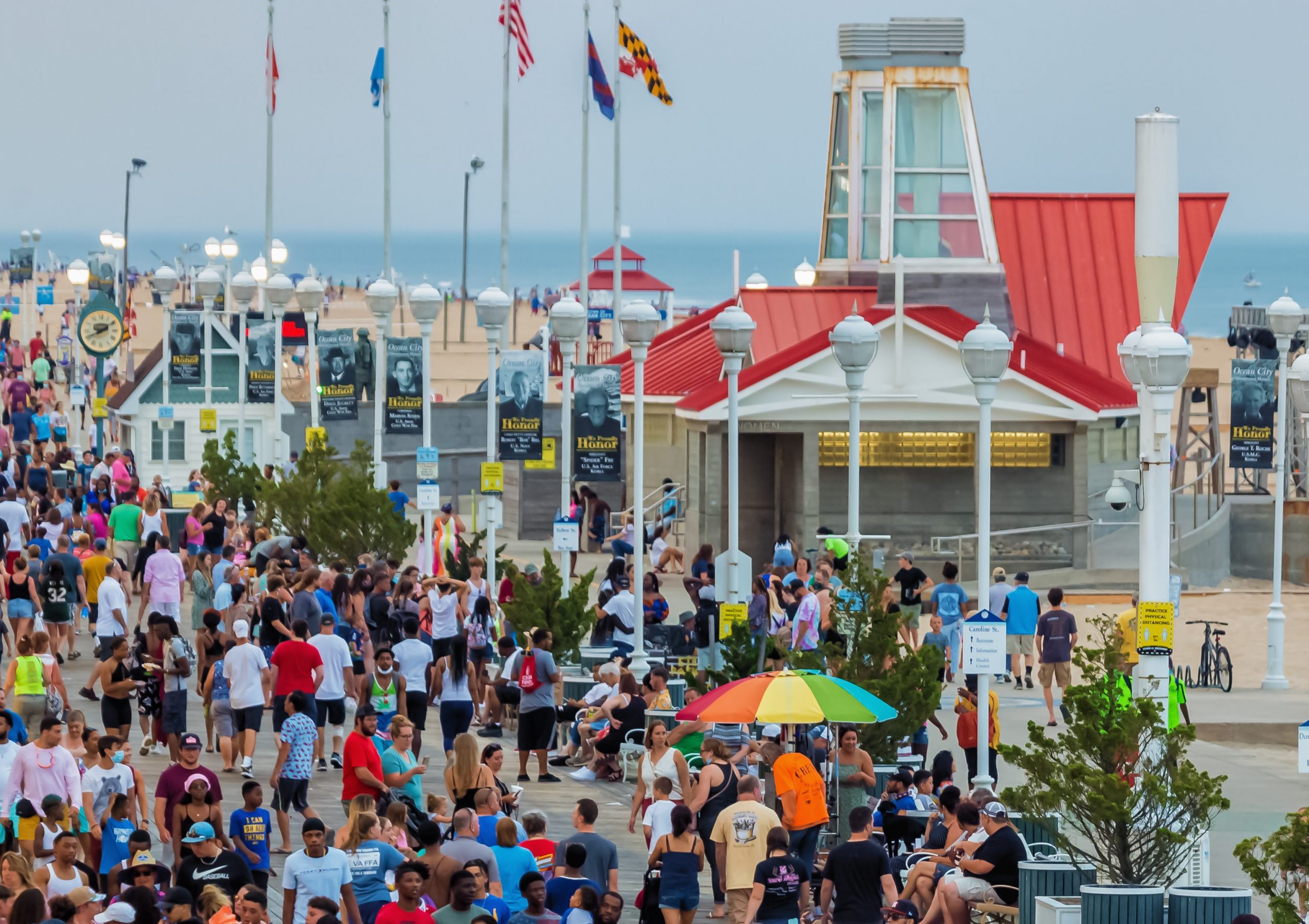 are dogs allowed on the boardwalk in ocean city md