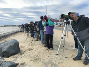 Annual Delmarva Birding Weekend Expands To Six Days; Nearly 30 Regional Trips Offered