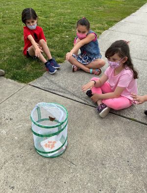 OC Elementary 2nd Graders Release Butterflies