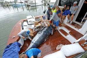 Local Boats Capture Top Honors In MidAtlantic Tourney; State Record Blue Marlin Caught