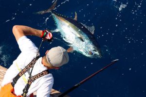 Take “Em Captain & Crew Still Catching Big Tuna