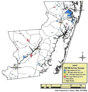 Gypsy Moth Suppression Planned For Worcester County