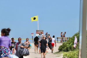 Assateague Beach Reopens After Military Ordnances Wash Ashore