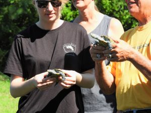 Two Diamondback Turtles Released After New York Stay