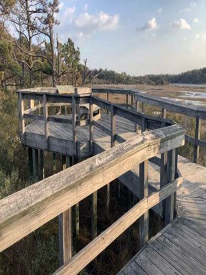 Trail Projects Planned For Assateague