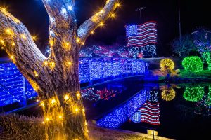 Winterfest of Lights Returns With Free Opening Night; Walking, Riding Available At Event