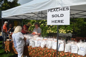 Museum Hosts Successful Peach Festival; Organizers Report ‘It Was A Huge Day’